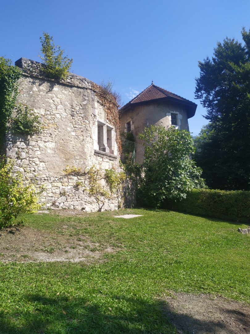 Château de Musinens - Valserhône