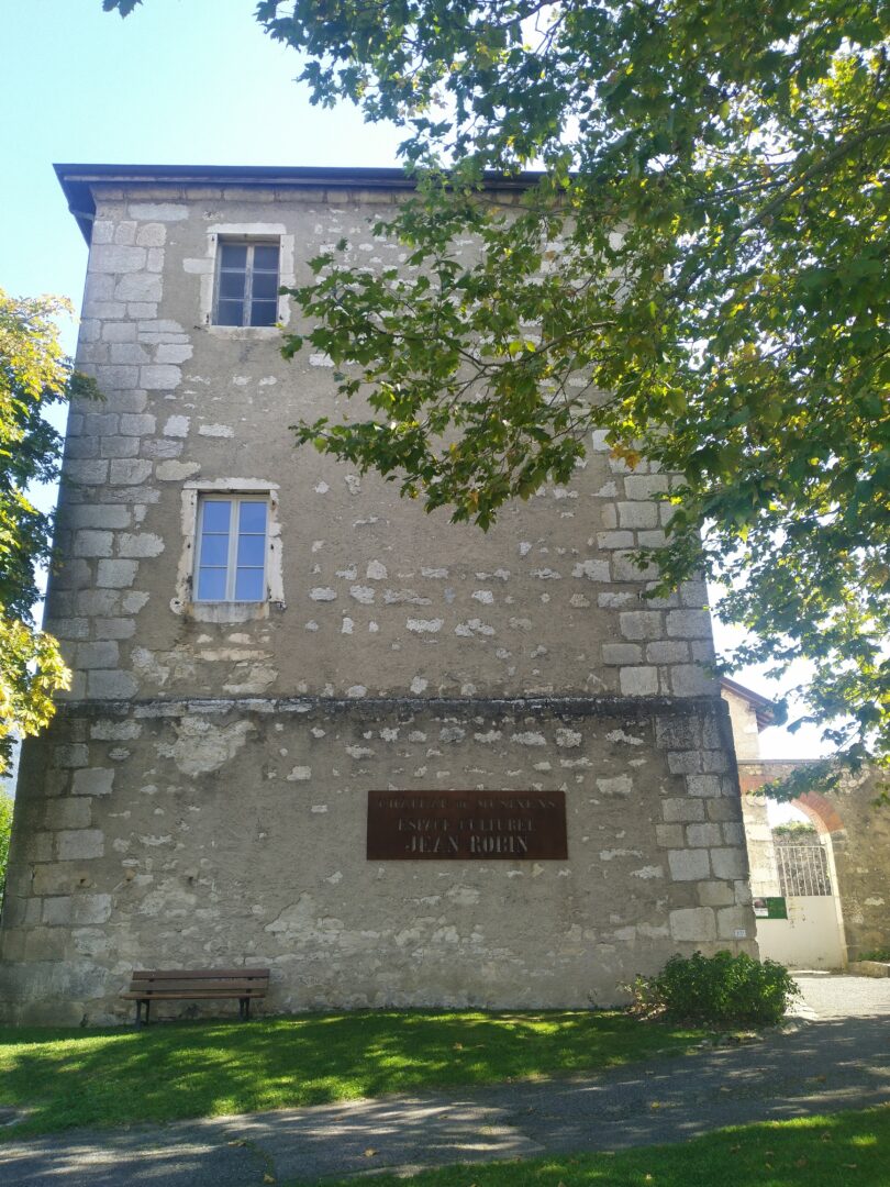 Château de Musinens - Valserhône